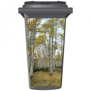 Birch Trees in A Forest Wheelie Bin Sticker Panel